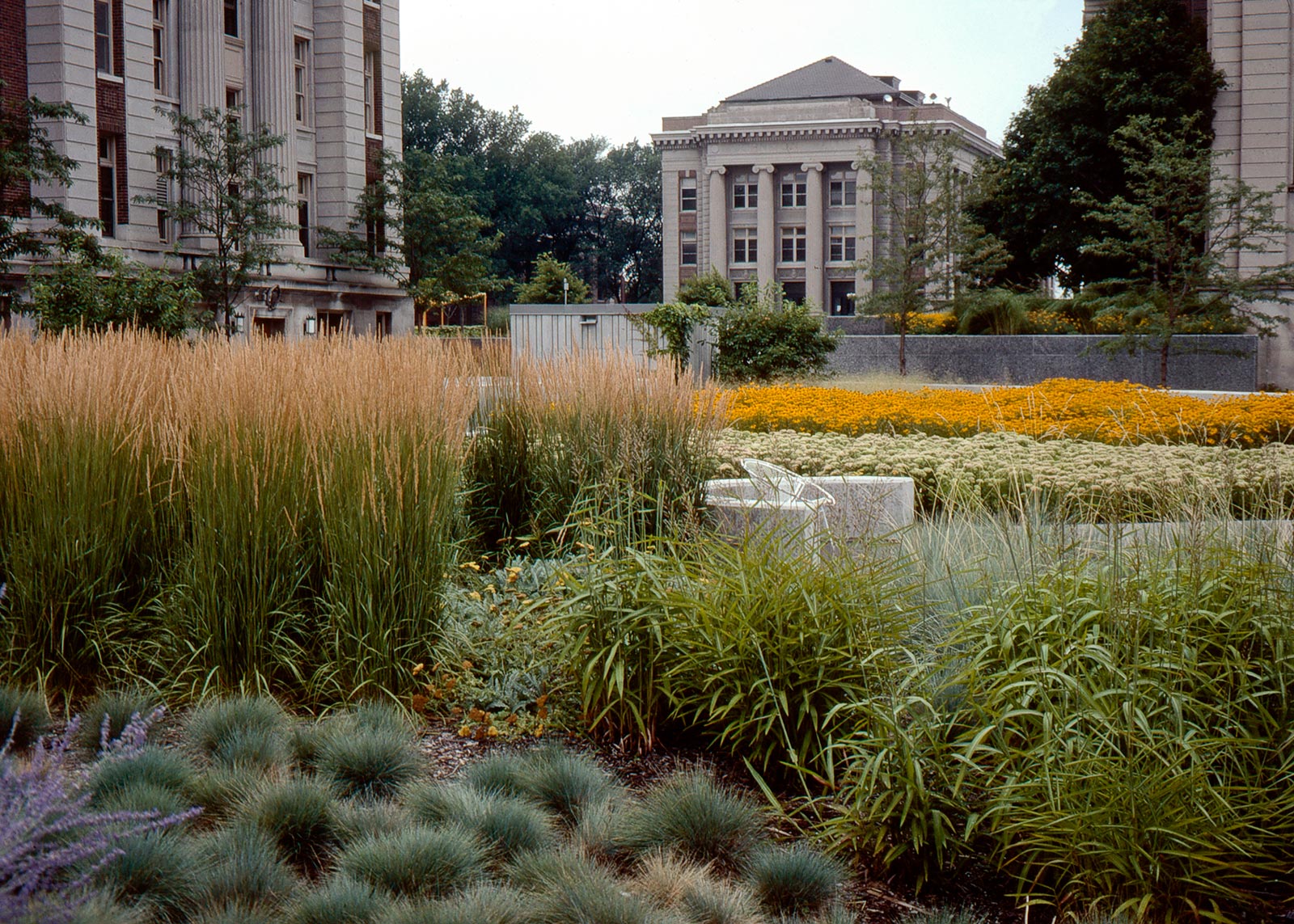 David Lilly Plaza 1