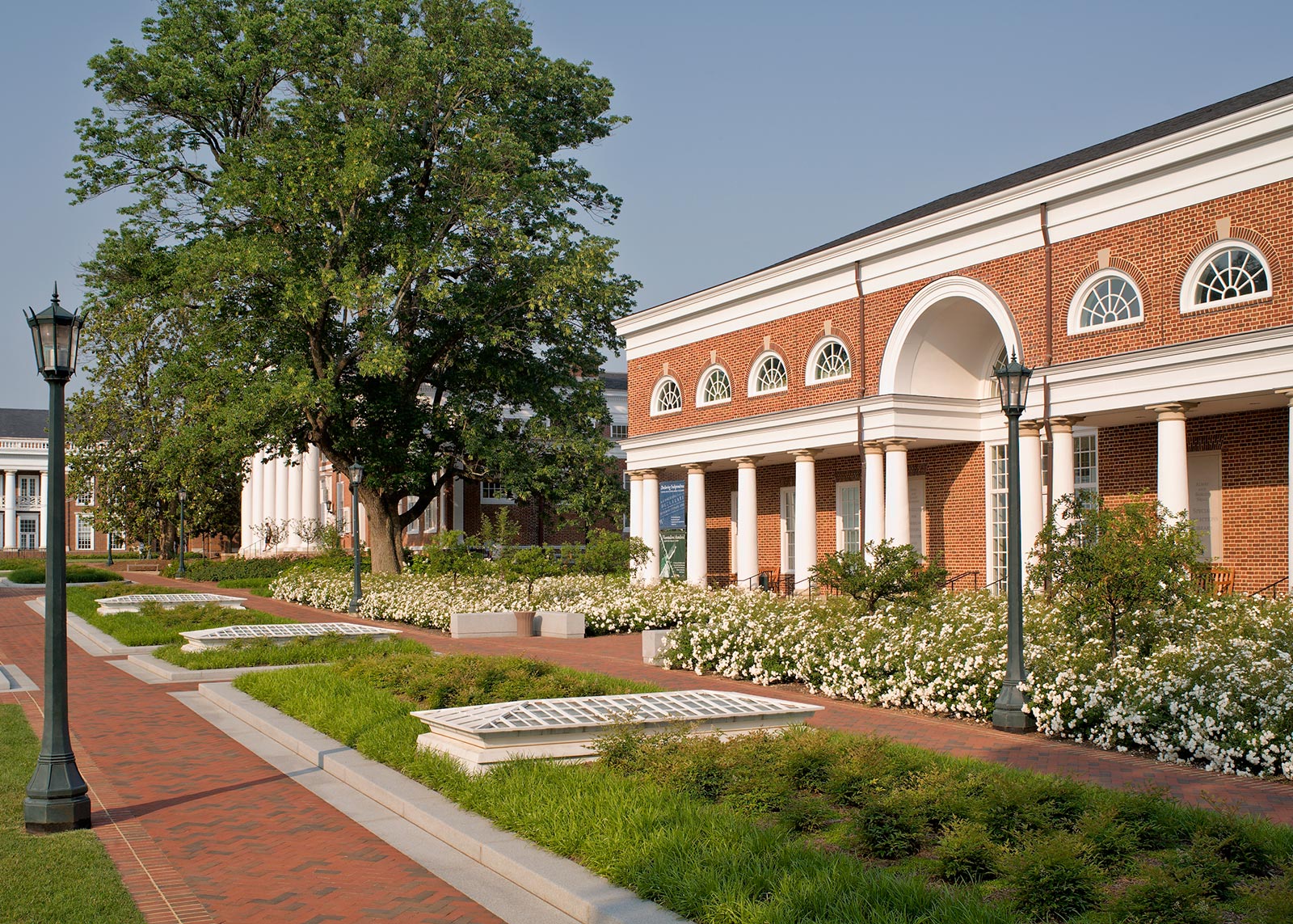 Alderman Quad