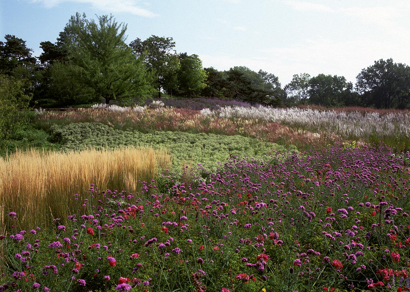 Gardens of the Great Basin 2