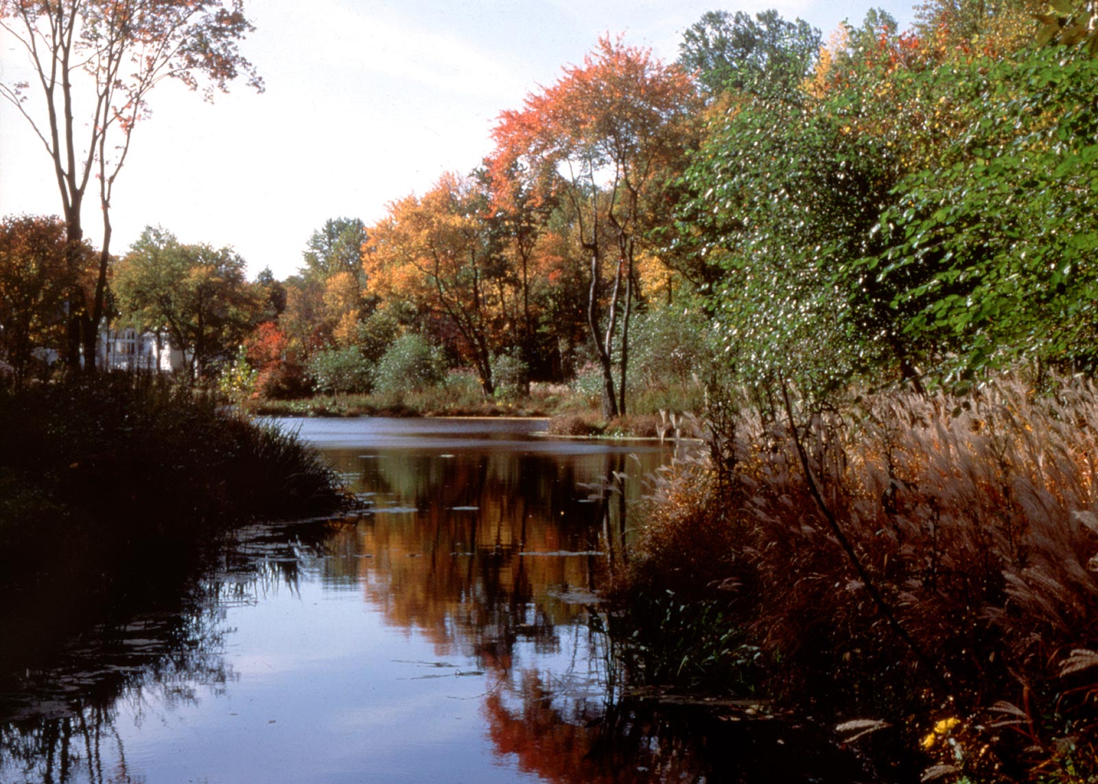 Rock Rim Ponds