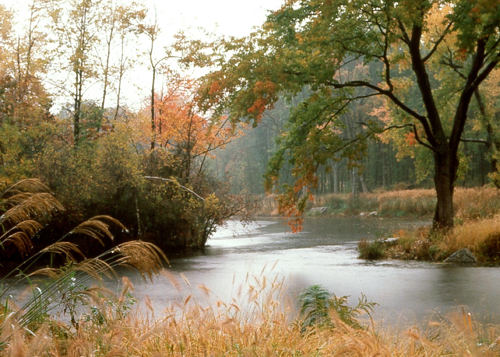 Rock Rim Ponds