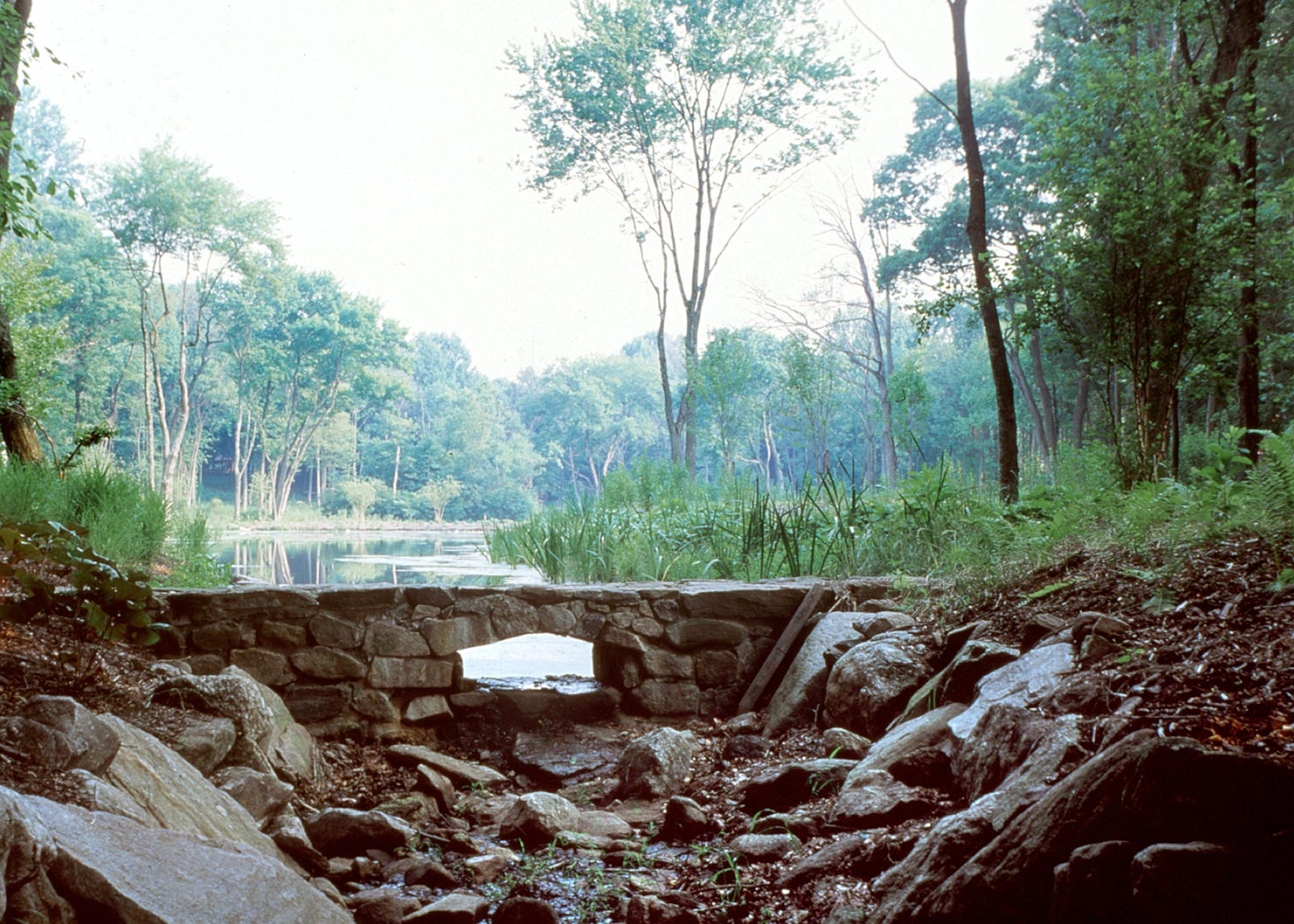 Rock Rim Ponds