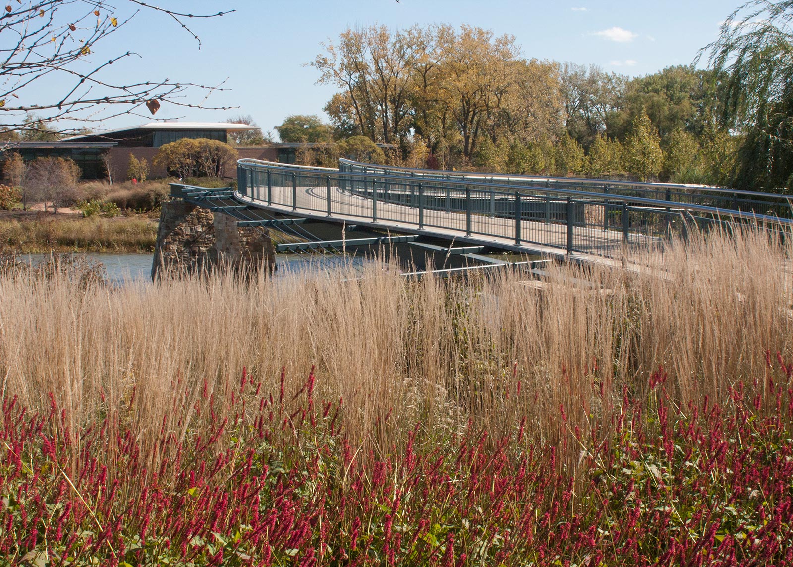 Trellis Bridge 2