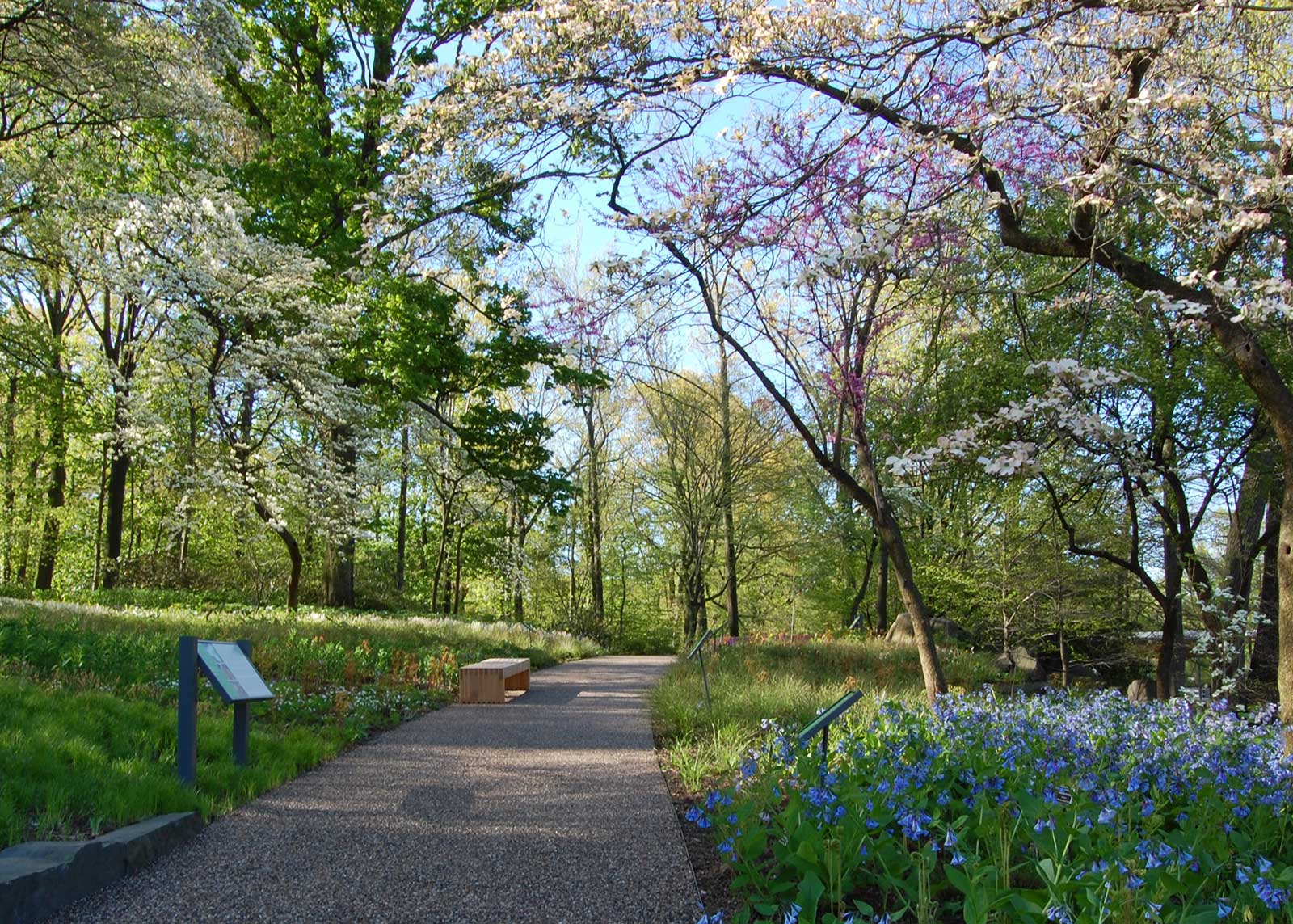 Native Plant Garden 2