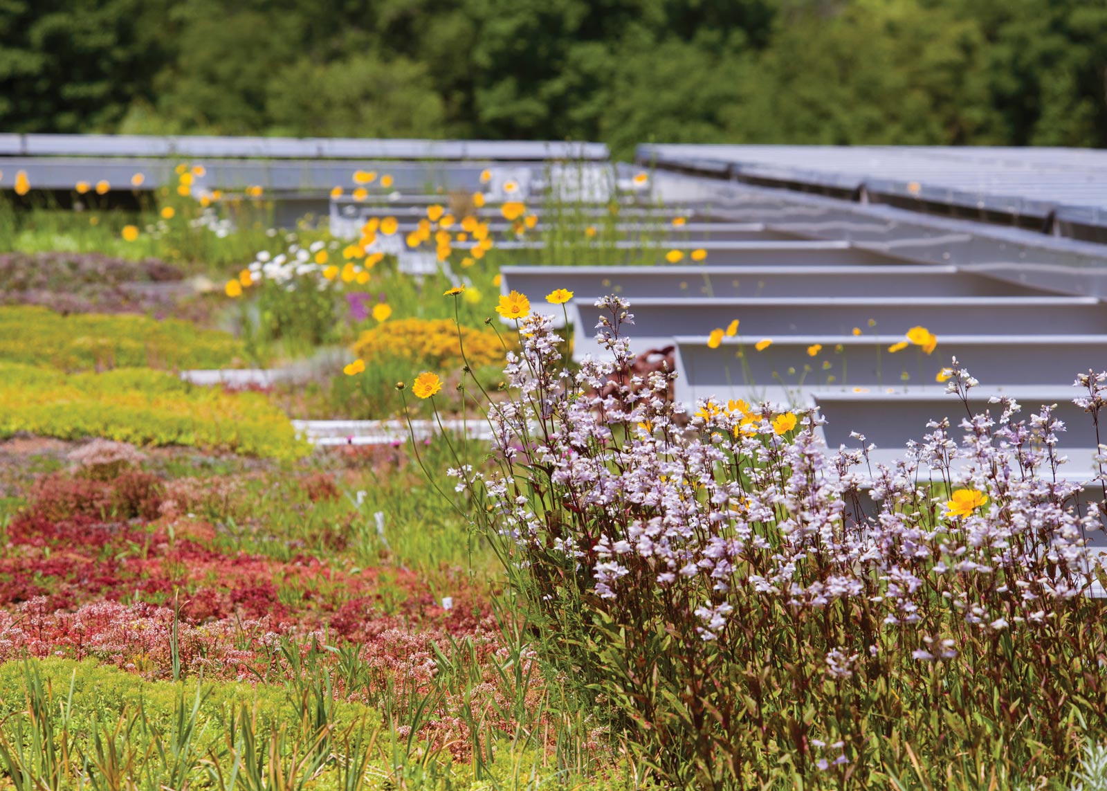 Plant Conservation Science Center