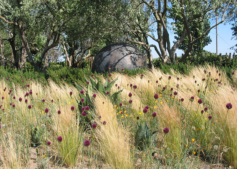 Contrast In The Garden At Cornerstone Sonoma Ovs Landscape
