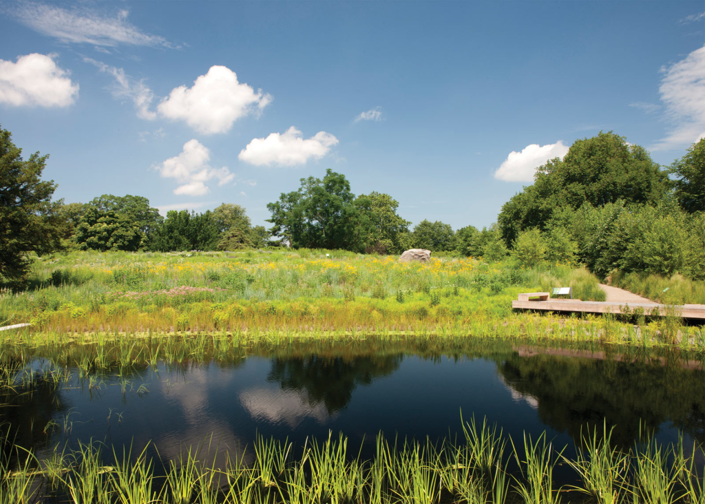 The Native Plant Garden at the New York Botanical Garden © Ivo Vermeulen