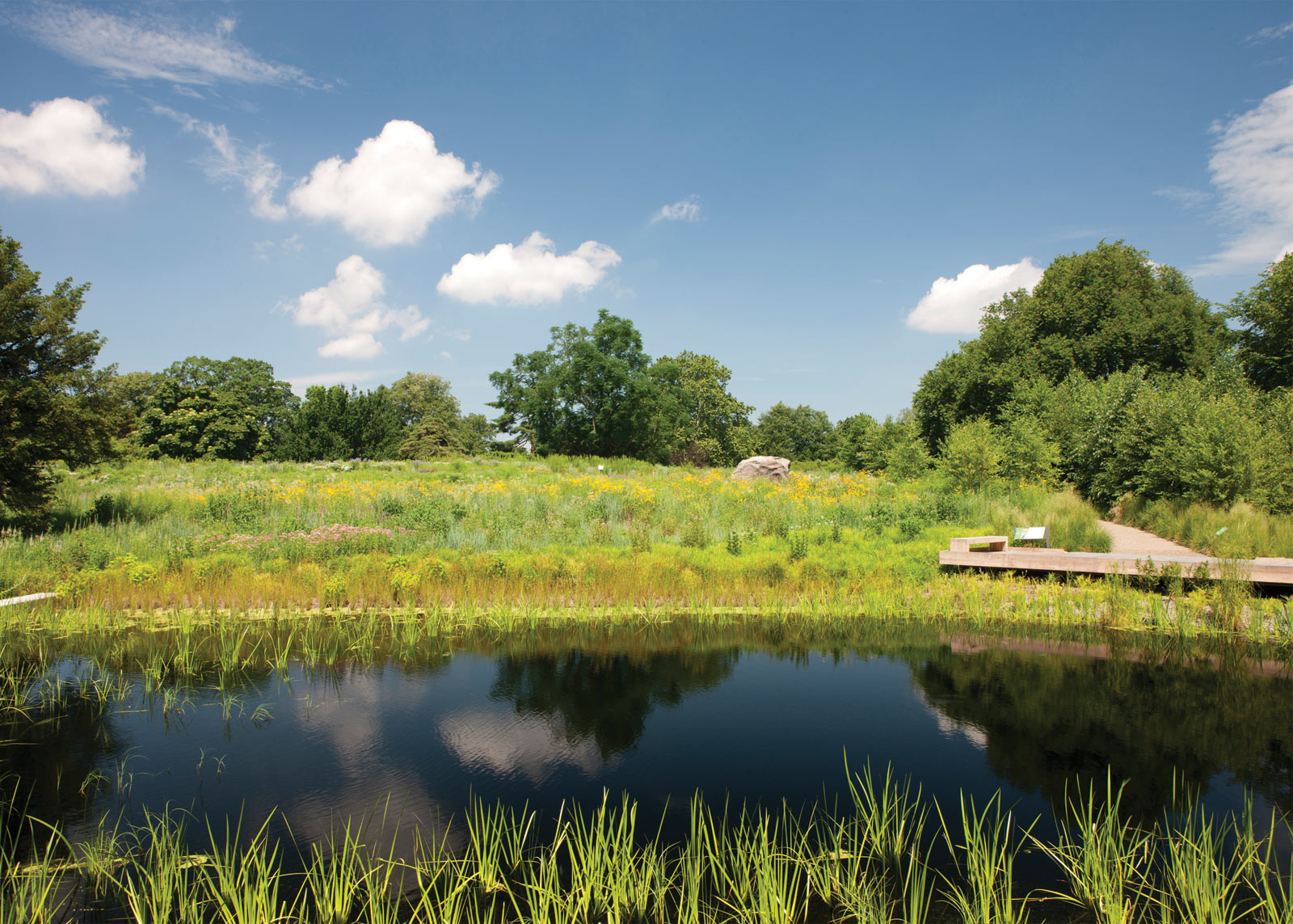 Nybg On Sheila S Mind On Recent Long Island Hike Ovs Landscape