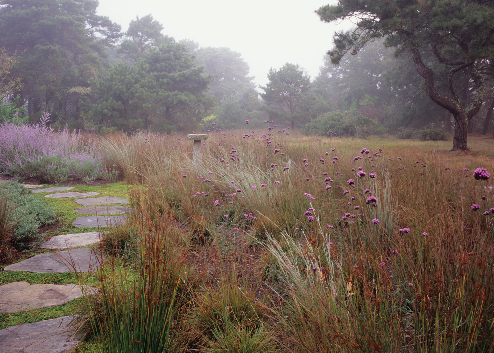 Martha's Vineyard Landscape Architect