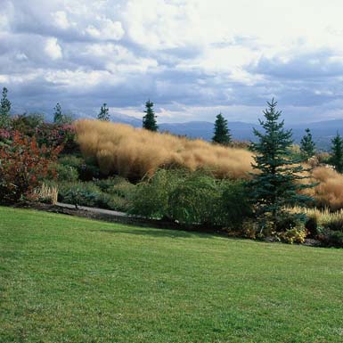 Red Butte Garden Four Seasons