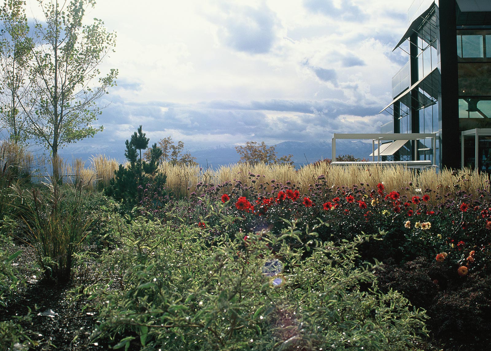 Four Season Garden at Red Butte