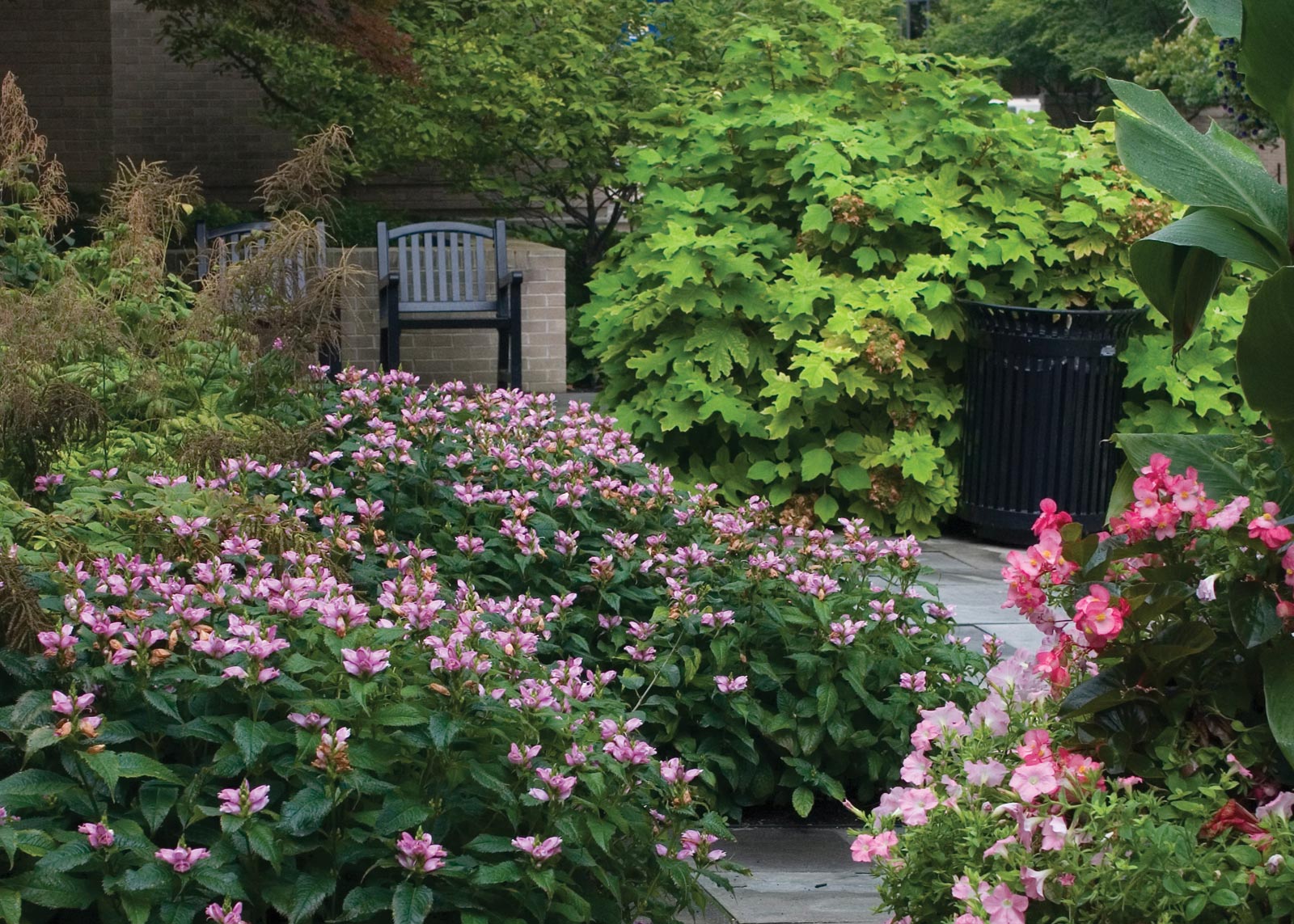 Friends Meditation Garden