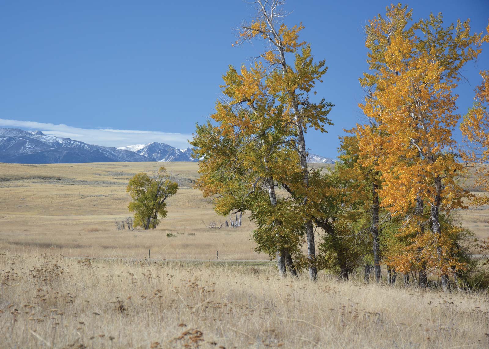 Tippet Rise