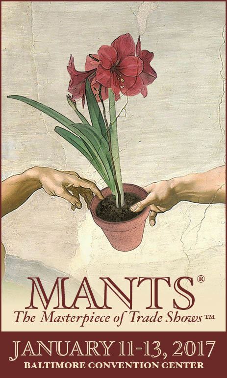 MANTS logo