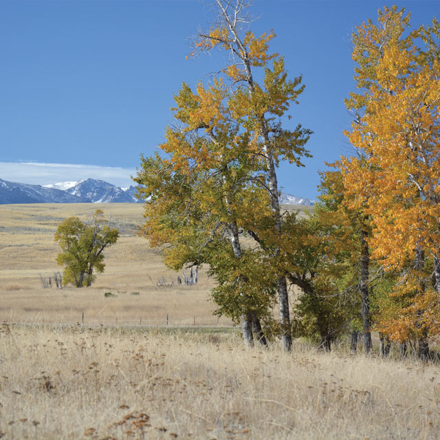 Tippet Rise