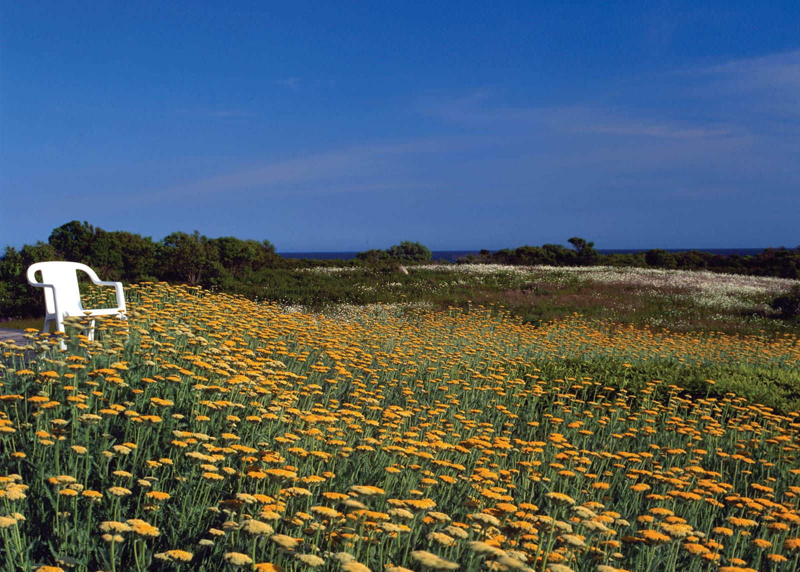 Martha's Vineyard