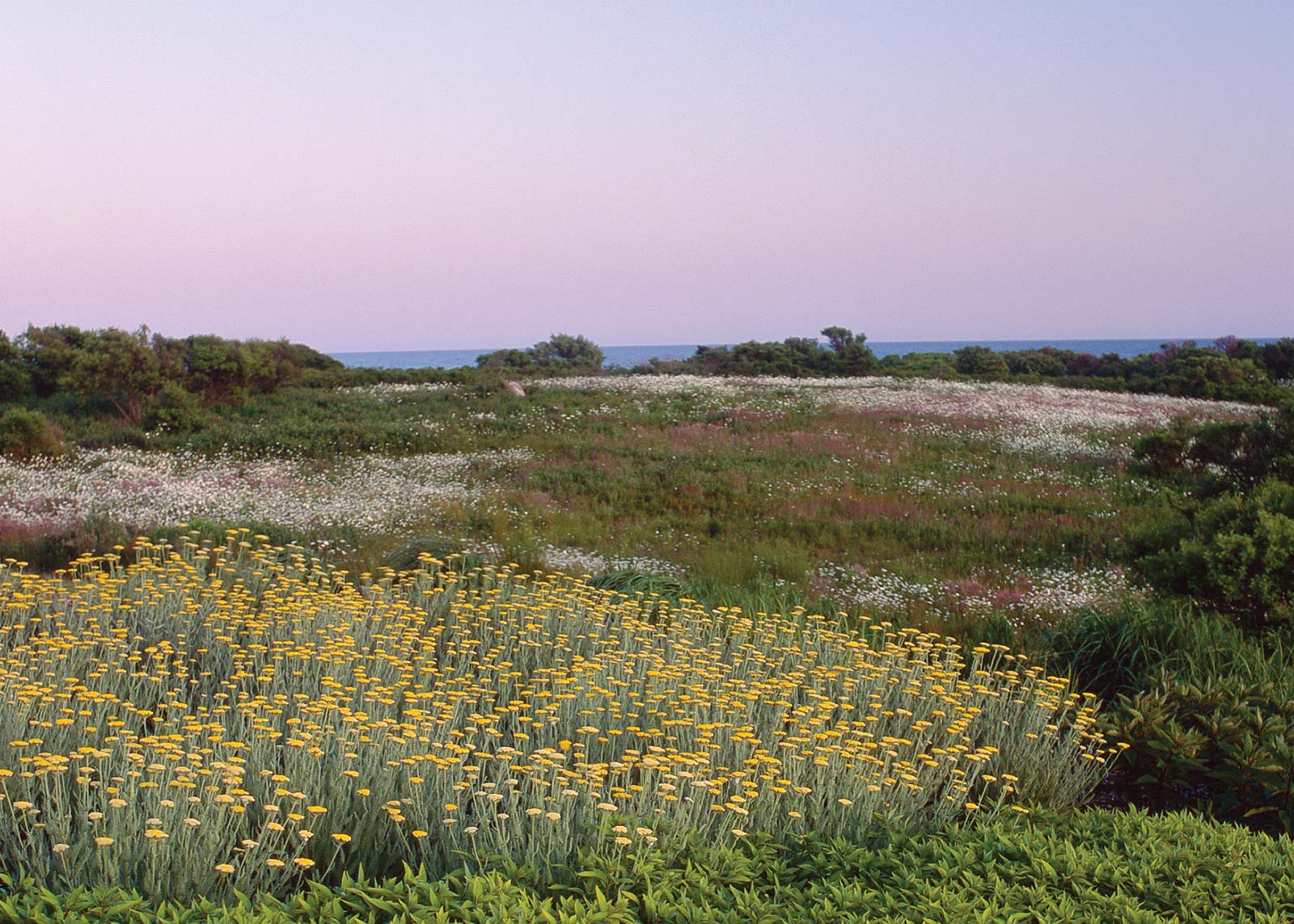 Martha's Vineyard