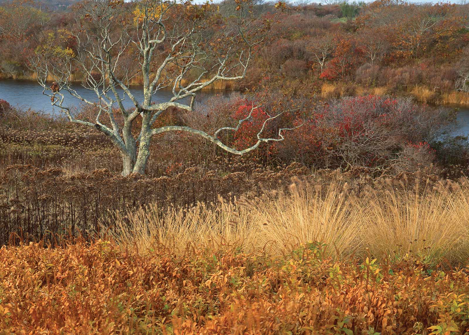 Martha's Vineyard