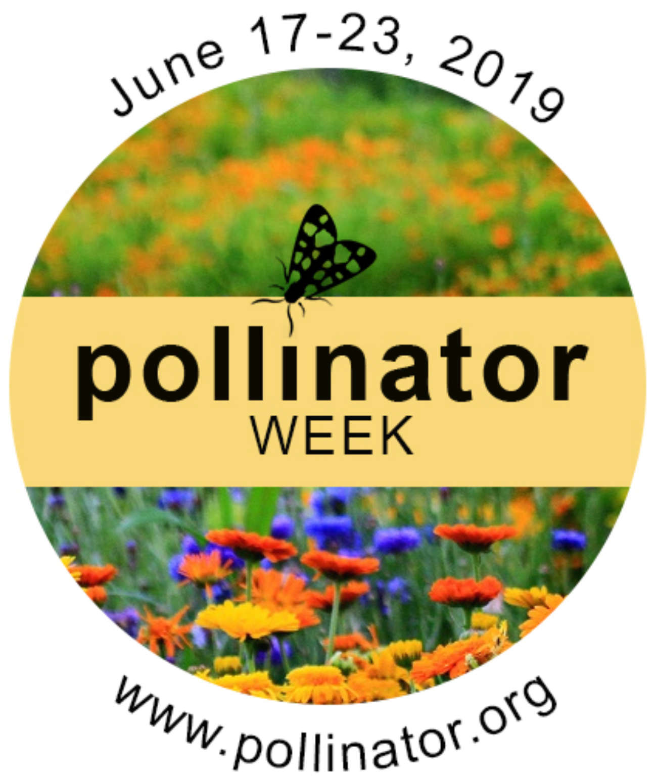 National Pollinator Week