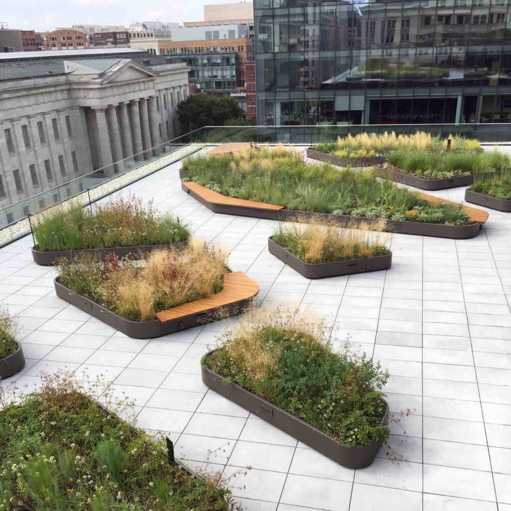 MLK Roof Gardens_USE Martin Luther King Jr. Memorial Library