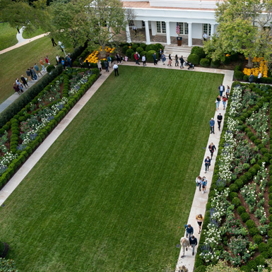 White House Rose Garden