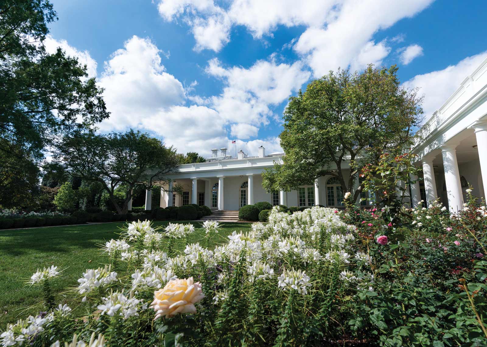 White House Rose Garden