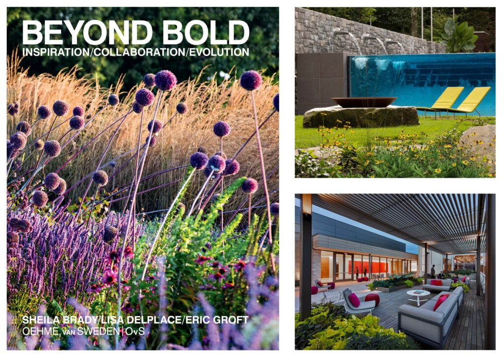 Beyond Bold: Inspiration/Collaboration/Evolution