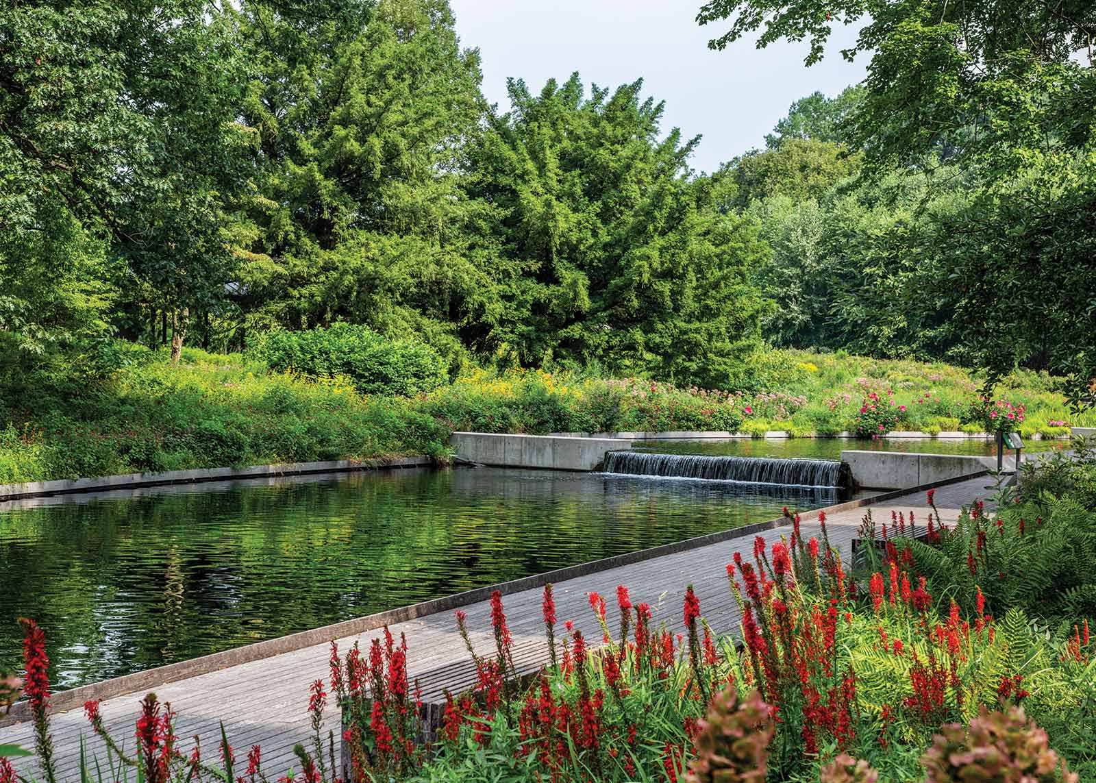 Native Plant Garden