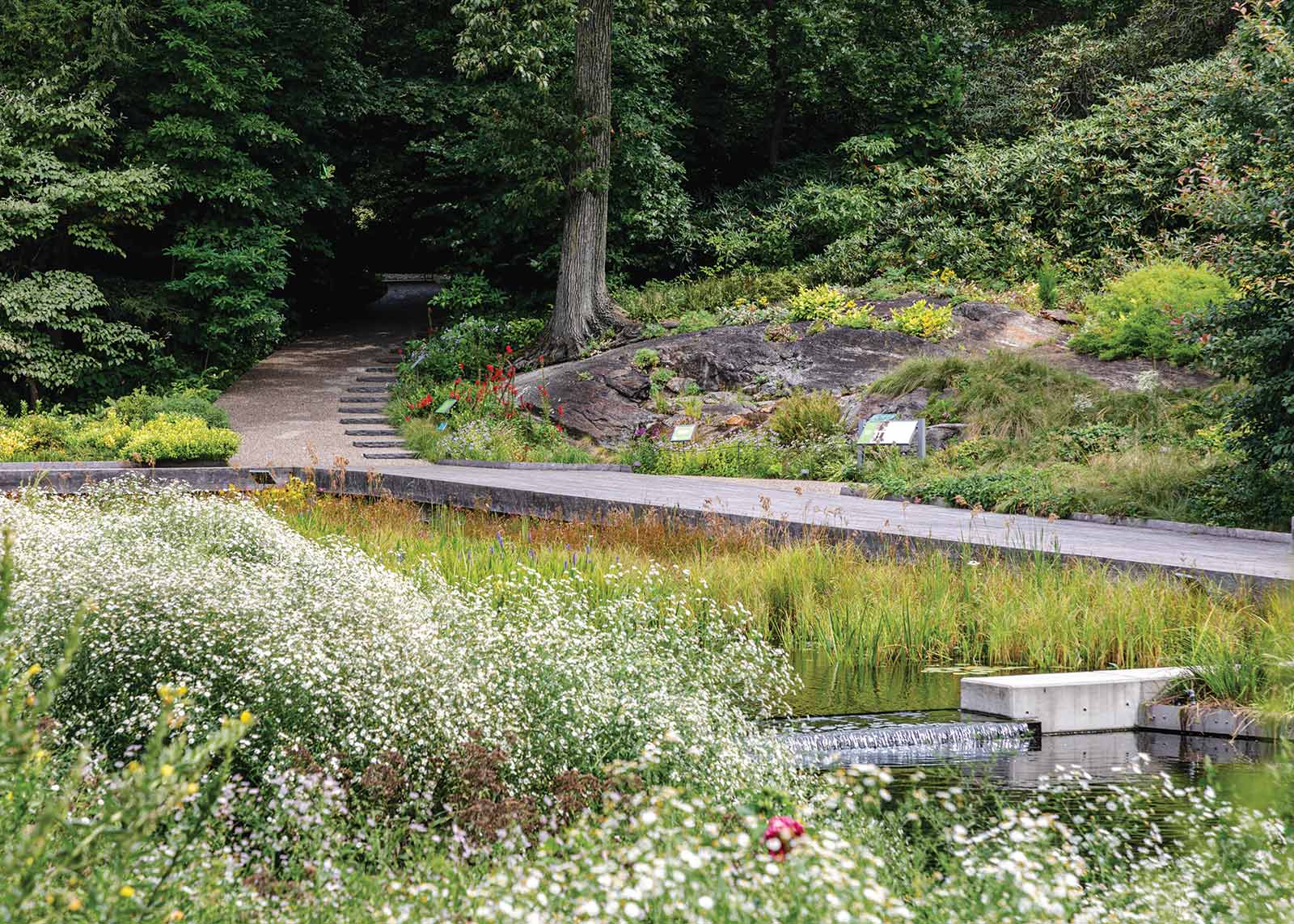 Native Plant Garden