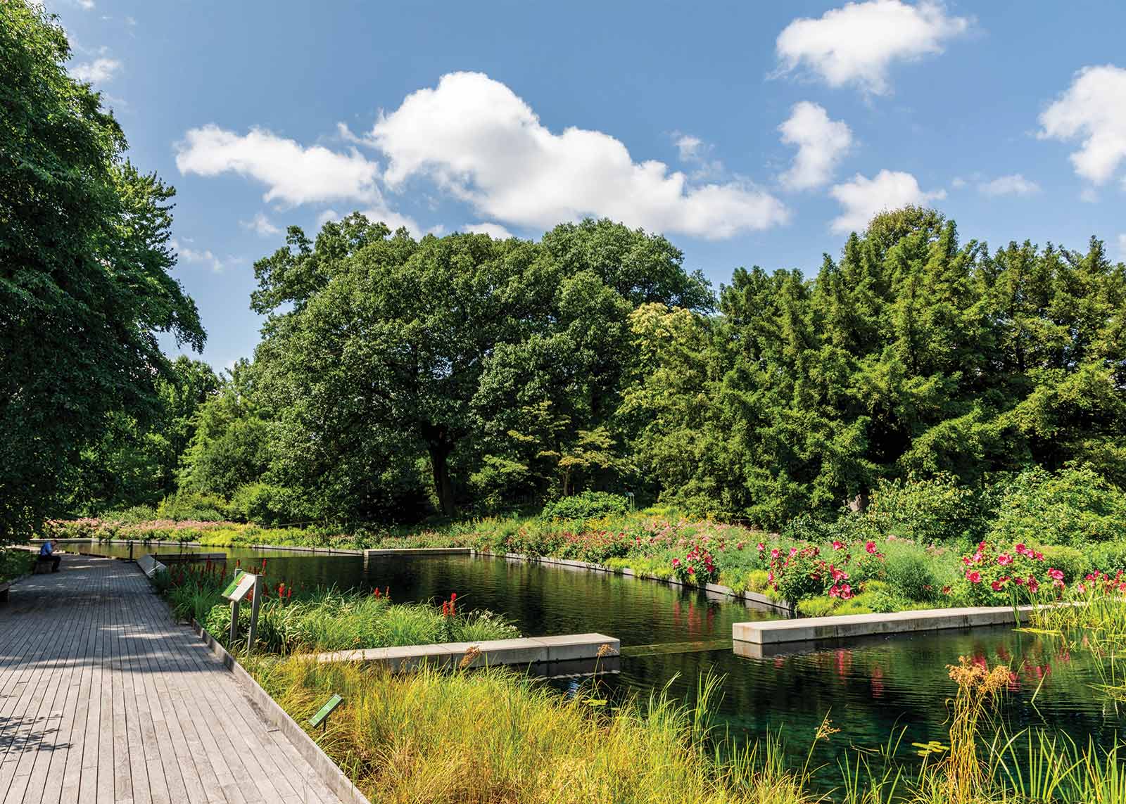Native Plant Garden